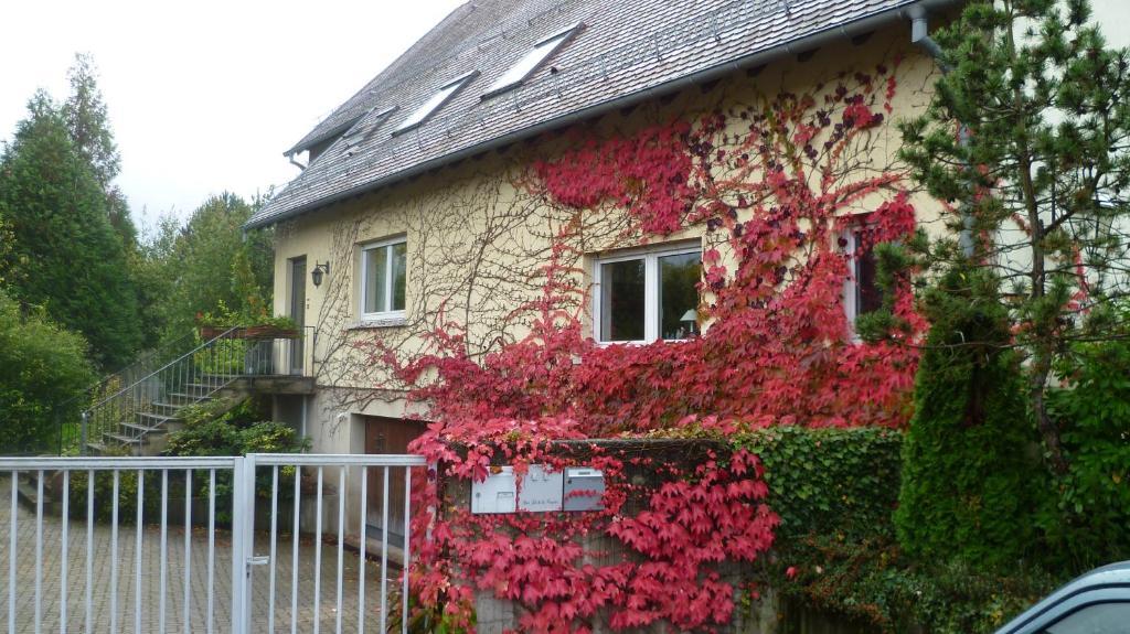 Bois Joli De La Freyere Bed & Breakfast Hindisheim Exterior photo